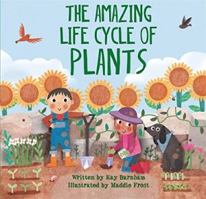 Amazing Life Cycle of Plants Book Cover