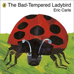 Bad-Tempered Ladybird