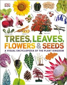 Trees, Leaves, Flowers and Seeds Book