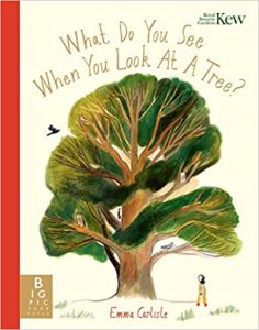 What Do You See When You Look at a Tree Book Cover