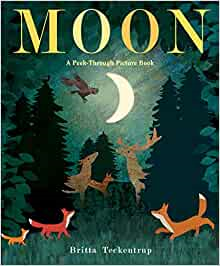 Moon Book