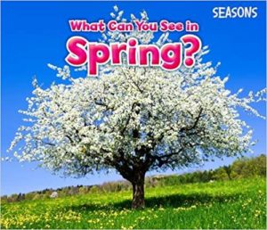 What Can You See in Spring Book