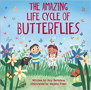 Amazing Life Cycle of Butterflies Book Cover