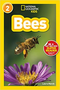 Nat Geo Bees