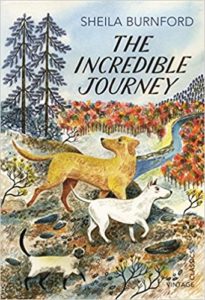 The Incredible Journey Book