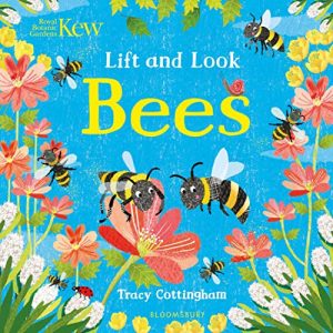 Lift and Look Bees Book Cover