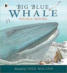 Big Blue Whale Book