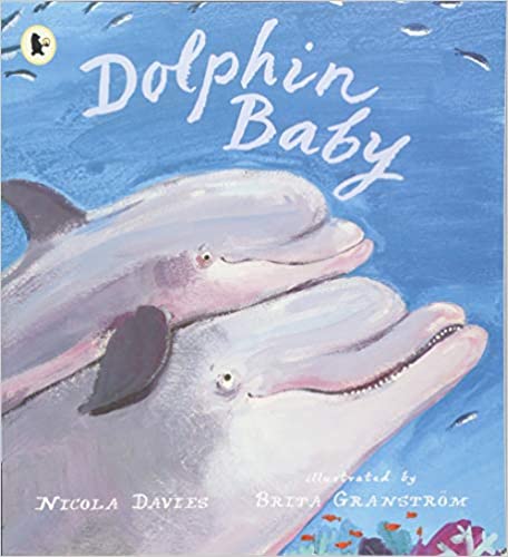 Dplphin Baby Book