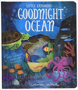 Goodnight Ocean Book