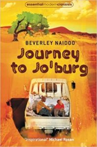 Journey to Joburg Book