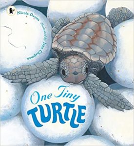 One Tiny Turtle Book