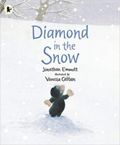 Diamond in the Snow Book