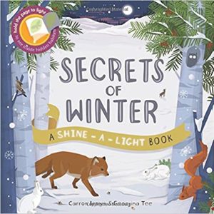 Secrets of Winter Book