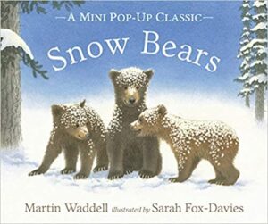 Snow Bears Book