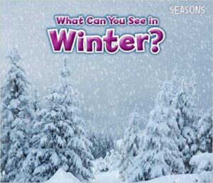 What Can You See in Winter Book